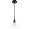 Living District Gil One Light Black And Clear Seeded Glass Pendant LD6216BK